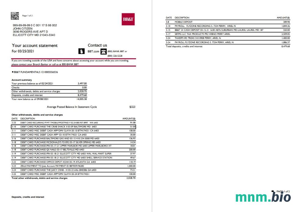 USA North Carolina BB & T Corp. szablon wyciągu z konta bankowego w formacie Word i PDF